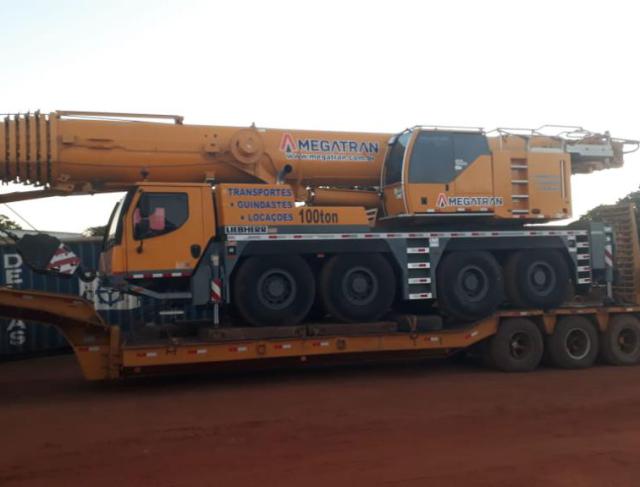 LTM1100