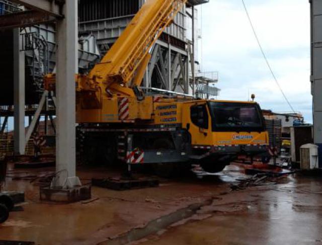 LTM1100
