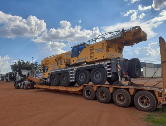 LTM1100