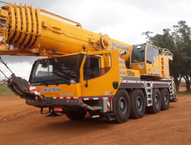 LTM1100